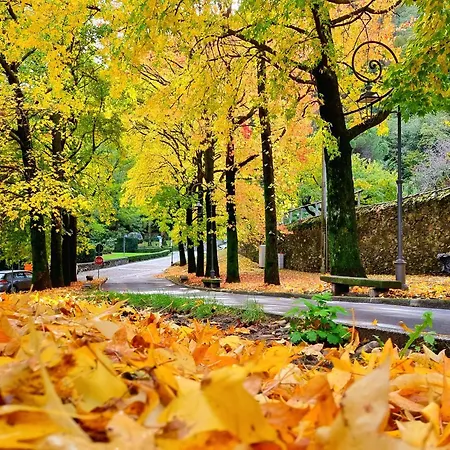 Del Fiume Cannobio
