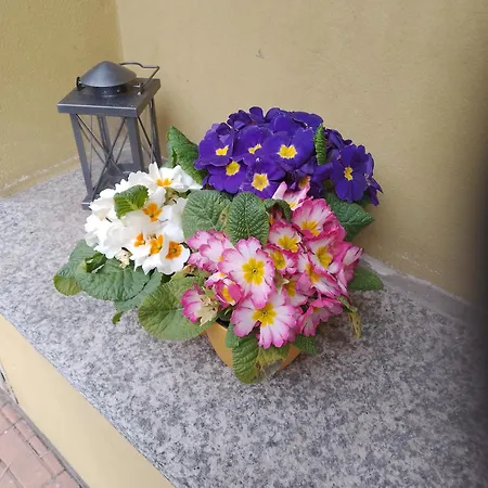 Del Fiume Hotel Cannobio