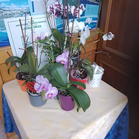 Del Fiume Отель