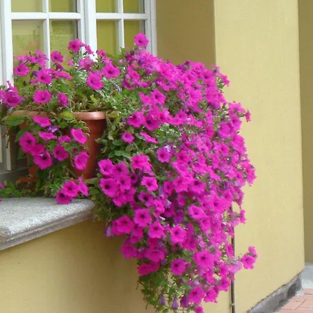 Del Fiume Hotel 3*