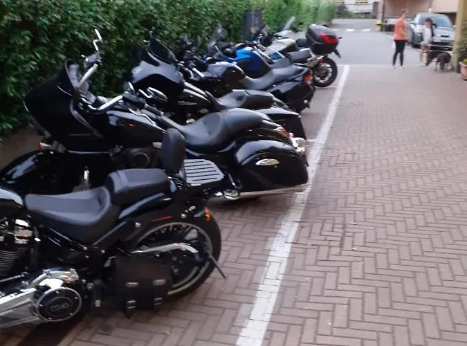 ホテル Del Fiume 3*