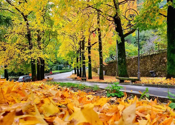 Del Fiume 카노비오