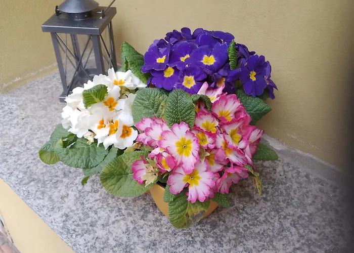 Del Fiume Hotel Cannobio