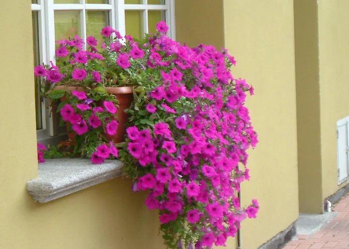 Del Fiume ホテル 3*